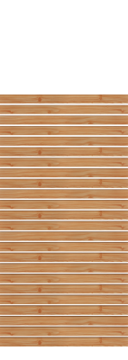 Zaunelement 62901