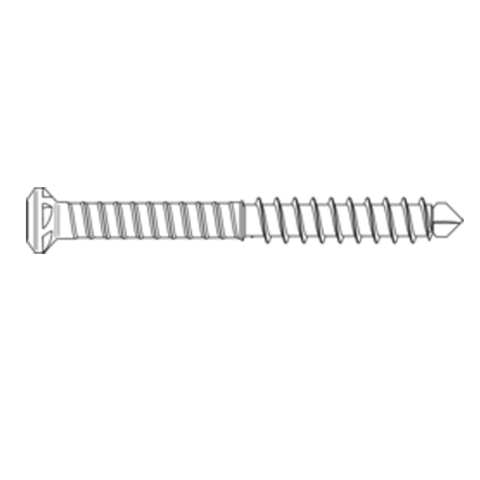 Zaunbauschraube Spezial 5,5x50 mm V2A 100 Stk.